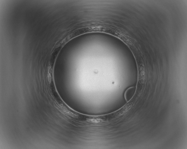 X0000083000654200702160050