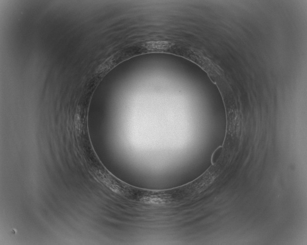 X0000083000655200702160050