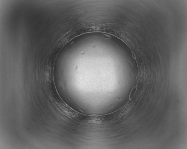 X0000083000656200702160050