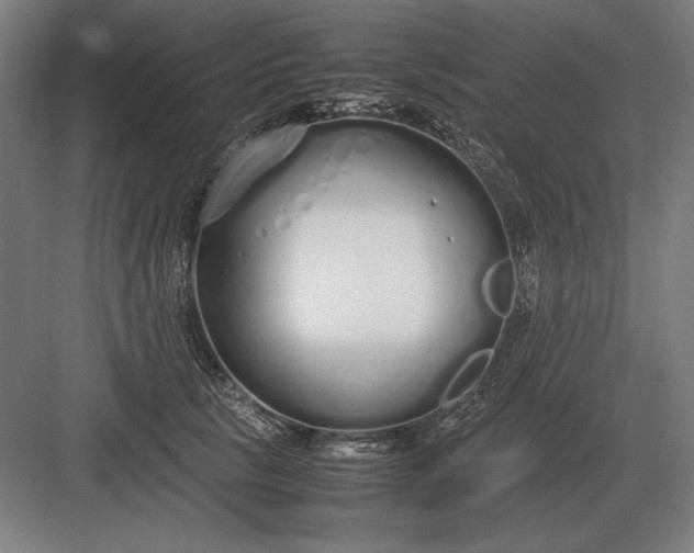 X0000083000657200702160051