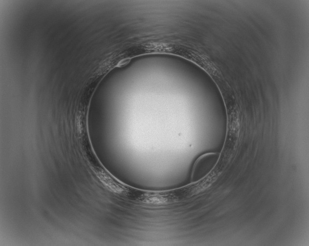 X0000083000658200702160051