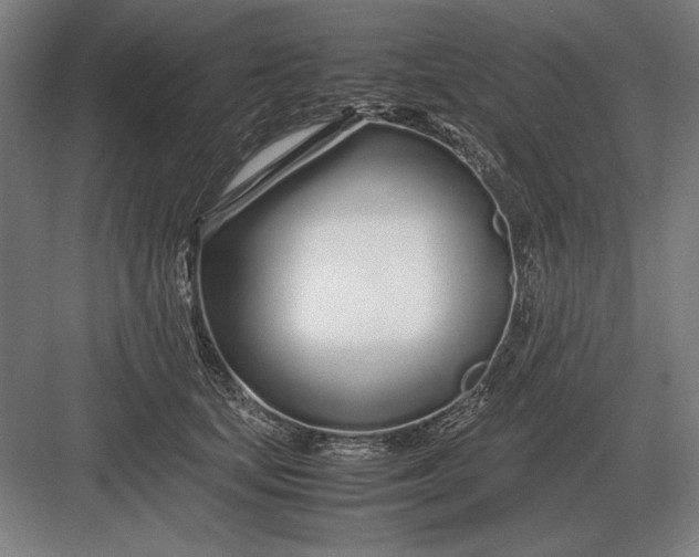 X0000083000659200702160051