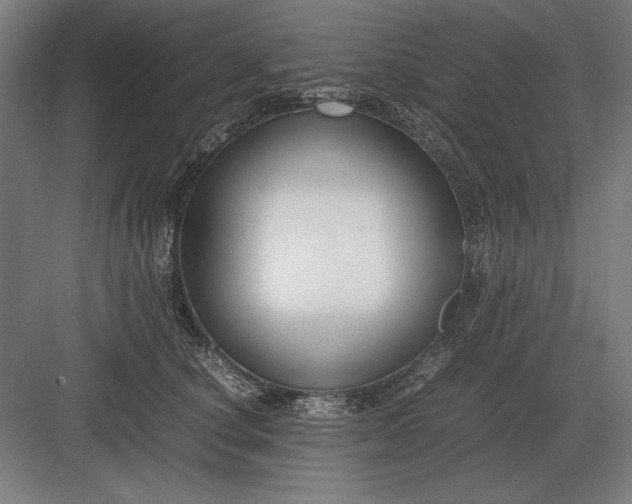 X0000083000660200702160051