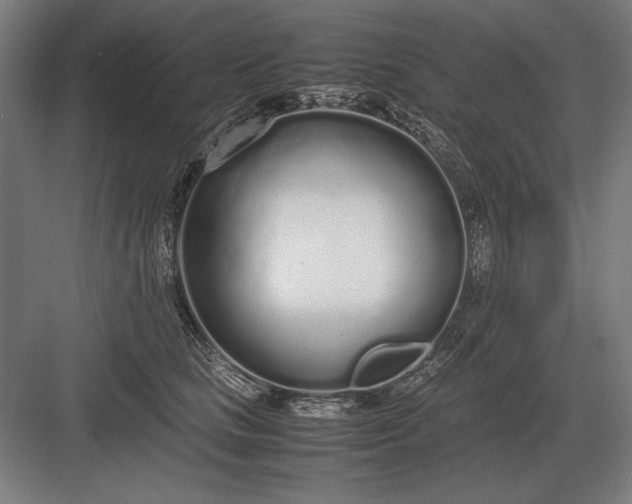 X0000083000661200702160051