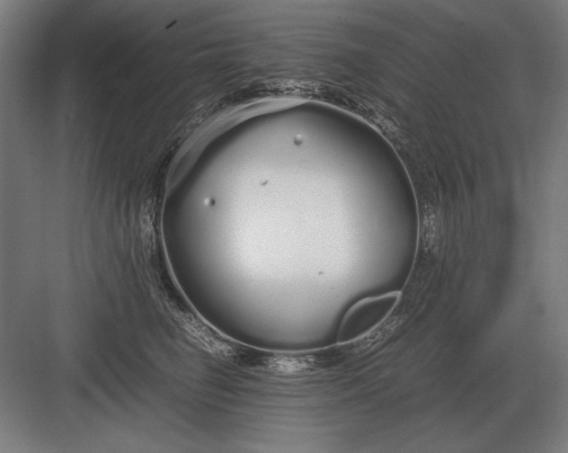 X0000083000662200702160051