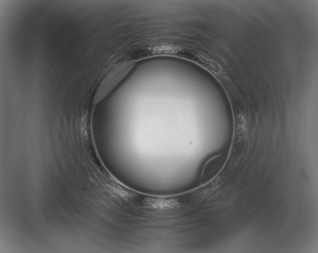 X0000083000663200702160051