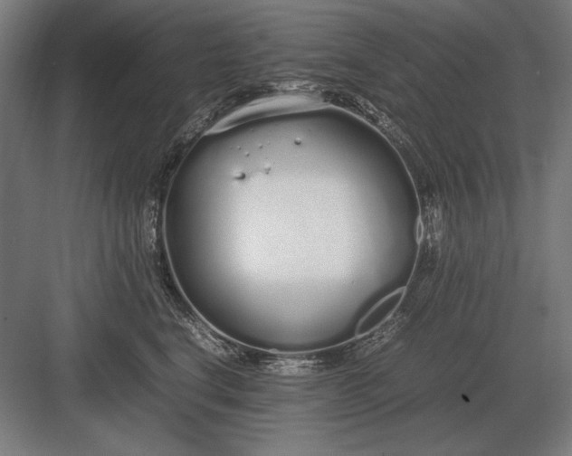 X0000083000664200702160051