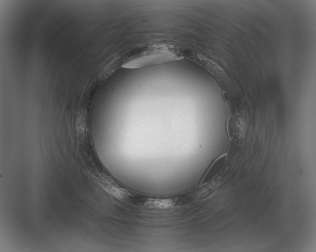 X0000083000665200702160051