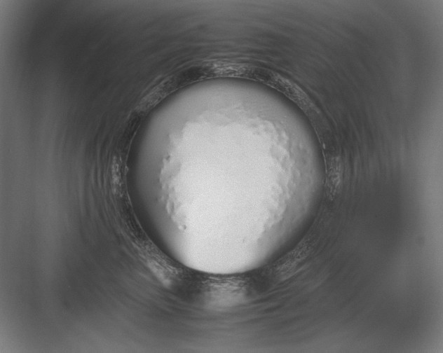 X0000083000667200702160051