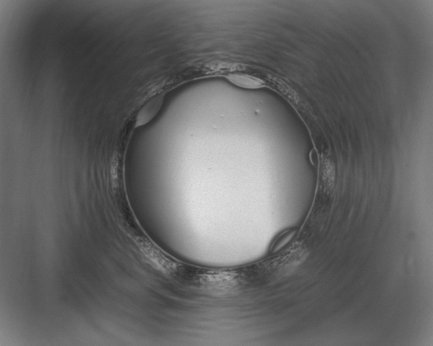 X0000083000668200702160051