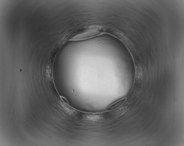 X0000083000669200702160051