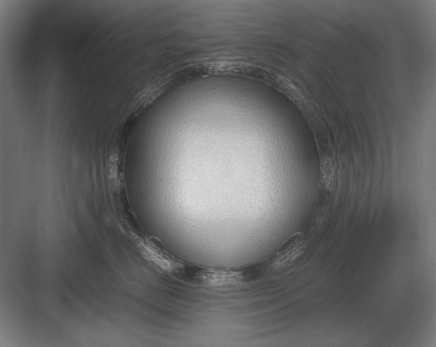 X0000083000670200702160051