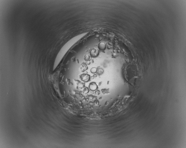 X0000083000671200702160051