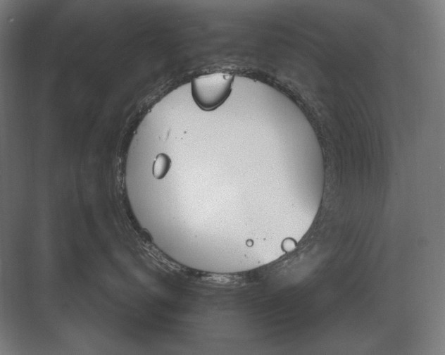 X0000083000672200702160051