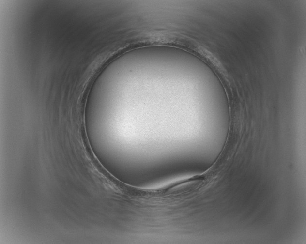 X0000083000673200702160050