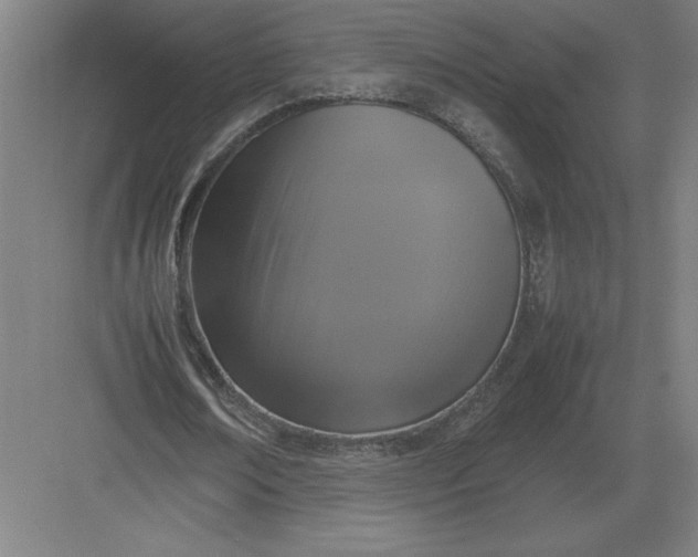 X0000083000674200702160050