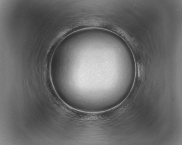 X0000083000675200702160050