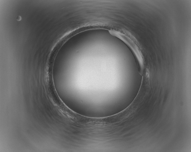 X0000083000676200702160050