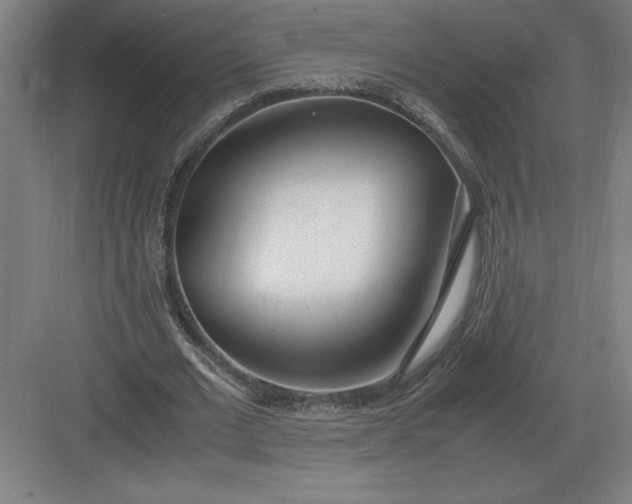 X0000083000677200702160050