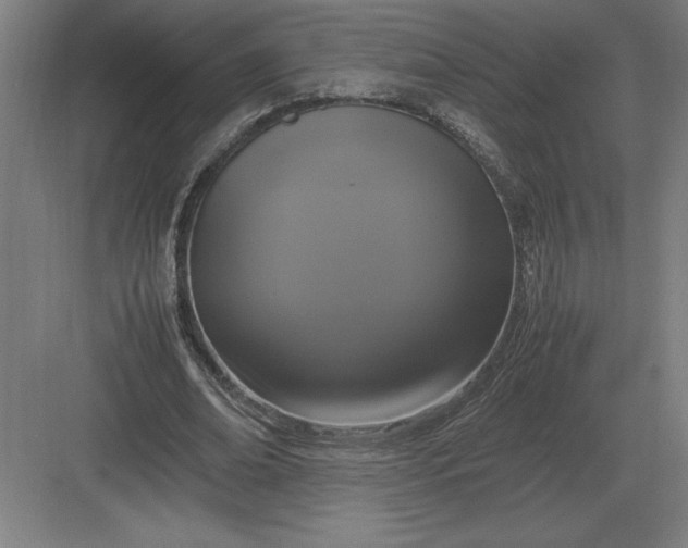 X0000083000678200702160050