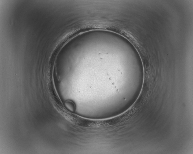 X0000083000679200702160050