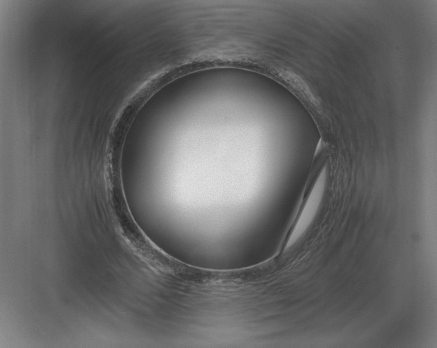 X0000083000680200702160050