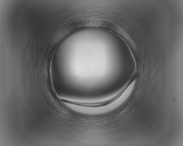 X0000083000681200702160050