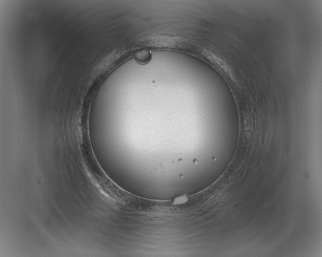 X0000083000682200702160050