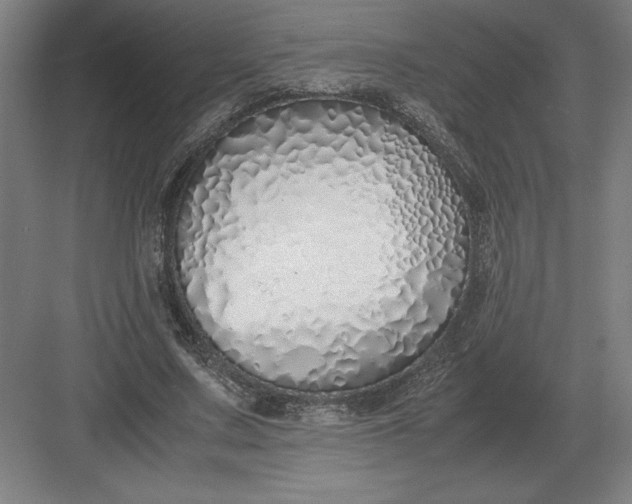 X0000083000683200702160050