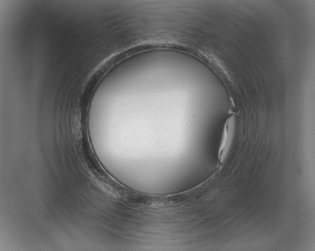 X0000083000684200702160050