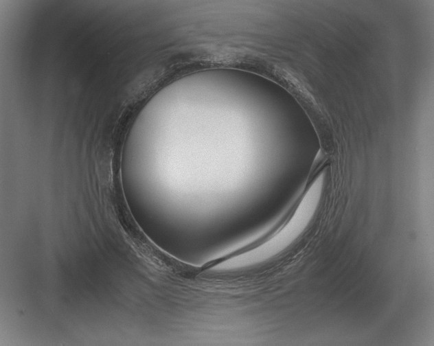 X0000083000685200702160050