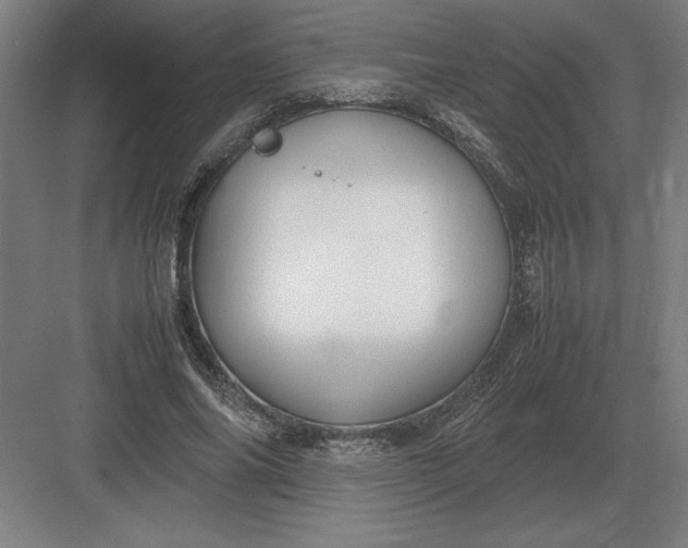 X0000083000686200702160050