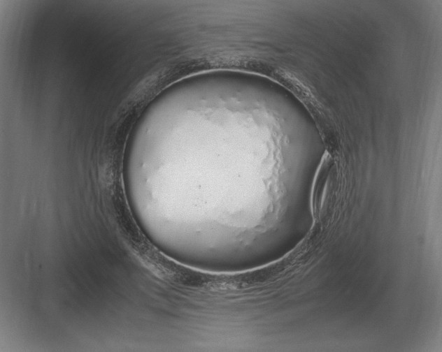 X0000083000687200702160050