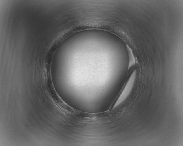 X0000083000688200702160050