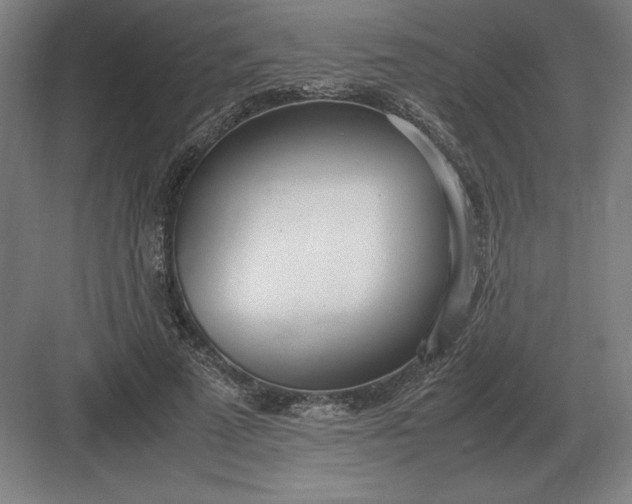 X0000083000689200702160050