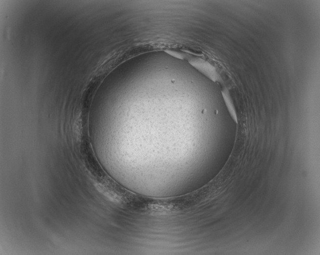 X0000083000690200702160050