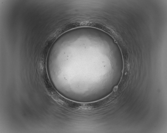 X0000083000691200702160050