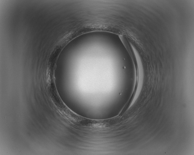 X0000083000692200702160050