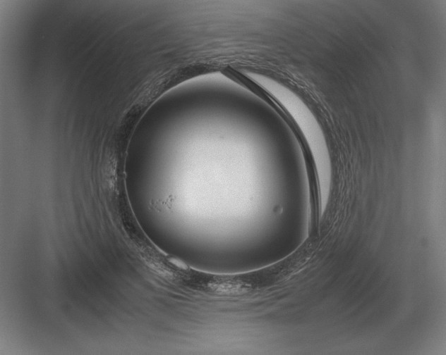 X0000083000693200702160050