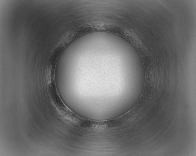 X0000083000694200702160050