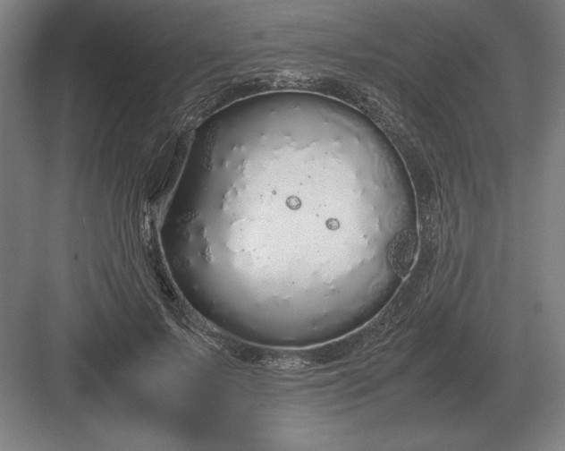 X0000083000695200702160050