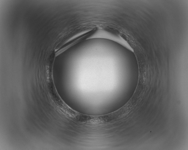 X0000083000696200702160050