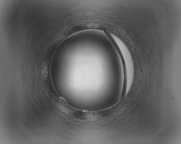 X0000083000697200702160050