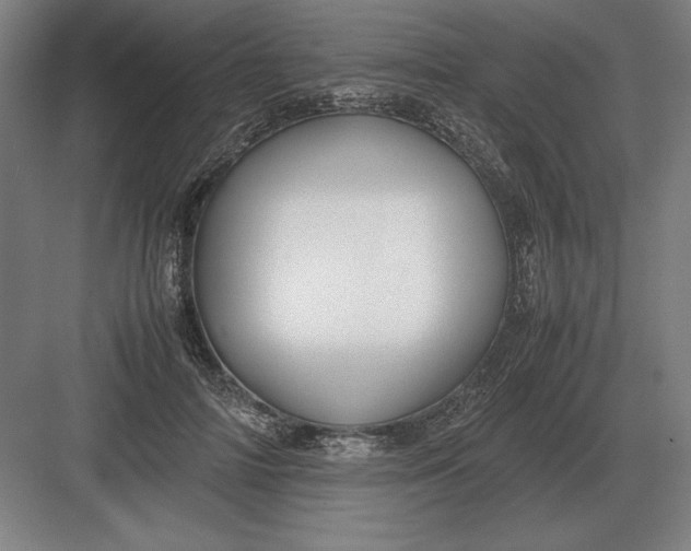 X0000083000698200702160050