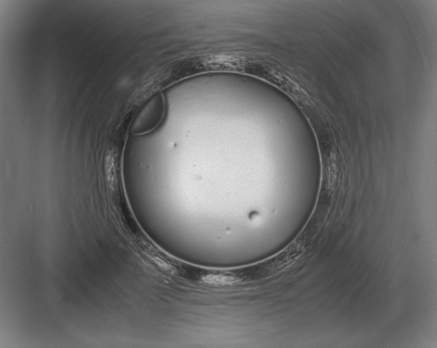 X0000083000699200702160050