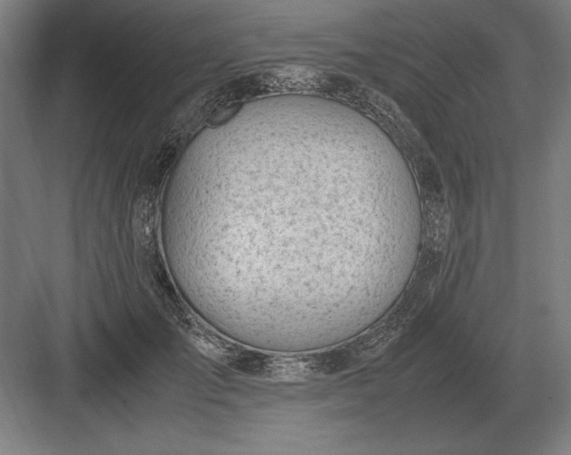 X0000083000701200702160049