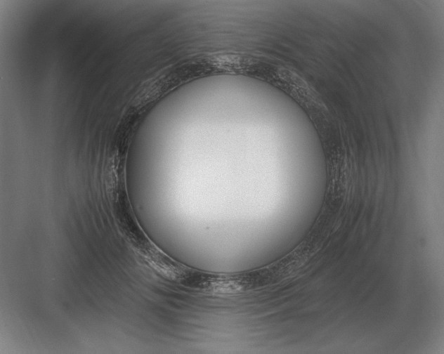 X0000083000702200702160049