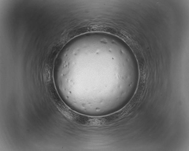 X0000083000703200702160049