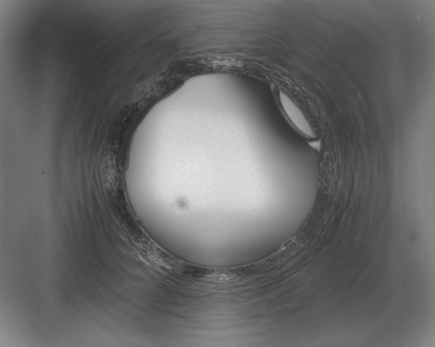 X0000083000704200702160049