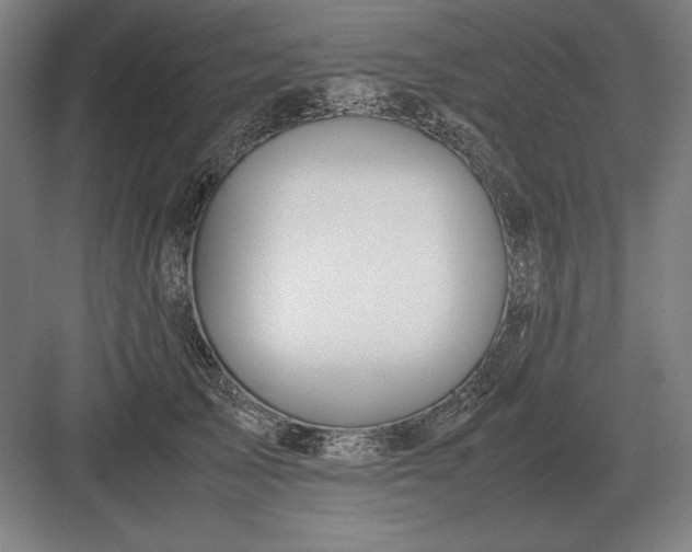 X0000083000705200702160049